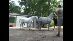 تشغيل Orificeintrusionporn الجديد يأخذ استثناء 424 03