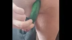 播放 请种植胡萝卜和黄瓜