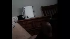 Reproduzir sapatilha de latino grande