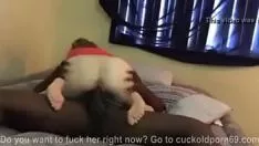 تشغيل الأعمال المتاحة BBW الأشقر تنتشر الرافضة الساقين