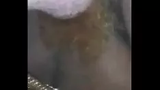 播放 那颗荨麻吐在乌木树上