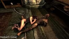 Jouer Skyrim sexlab hpnpco marque vers le bas séparé 1