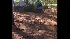চালান পার্কল্যান্ডে বোম্বে হট কিশোর যুগল থাম্বিং
