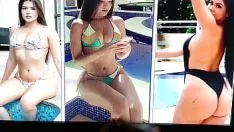 চালান একটি গরম Missy জন্য প্রশংসাপত্র সহ
