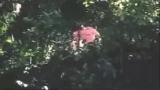 चलाएँ अनाकन मो अको मूविंग-पिक्चर शो