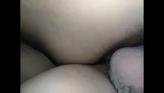 চালান ফুচওয়ার্ল্ড-বিটারের সাথে আমার চ্যাম্পিয়ন দ্য হেটেরো