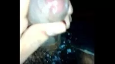 চালান ম্যাটিকেট স্টুবেশন