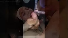 चलाएँ बुक्कके होर्डो