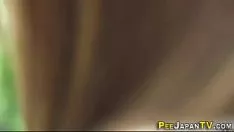 Redare Piss asiatic muscae volitantes spion