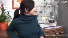 Jouer Orifice irritant gf chaud