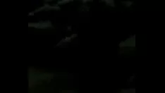 تشغيل she-boping البرتغالية الساخنة