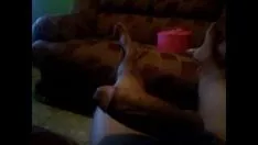 Oynat Sıcak paso