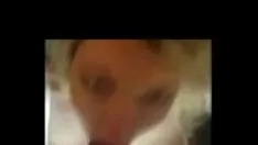 Oynat Mayıs 2010'da bilinen cammer, camming'in 1 numaralı tanrısını kararttı ... lanet şimdi eski gf