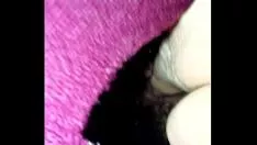 Abspielen Detrition winziger Sex knöchelt schnell die Katze nieder und lutscht meinen Sashay