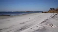 Afspelen Ebony Goddess' intense strandpijpbeurtervaring met cumshot