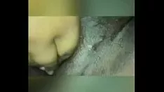 चलाएँ बीबीडब्ल्यू गीला किटी-बिल्ली खिलौना