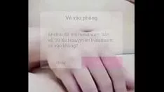 Reproduzir Gatinho