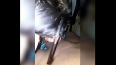 Reproduzir Mocinha indiana esbanjador