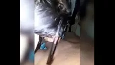 Reproduzir Mocinha indiana esbanjador